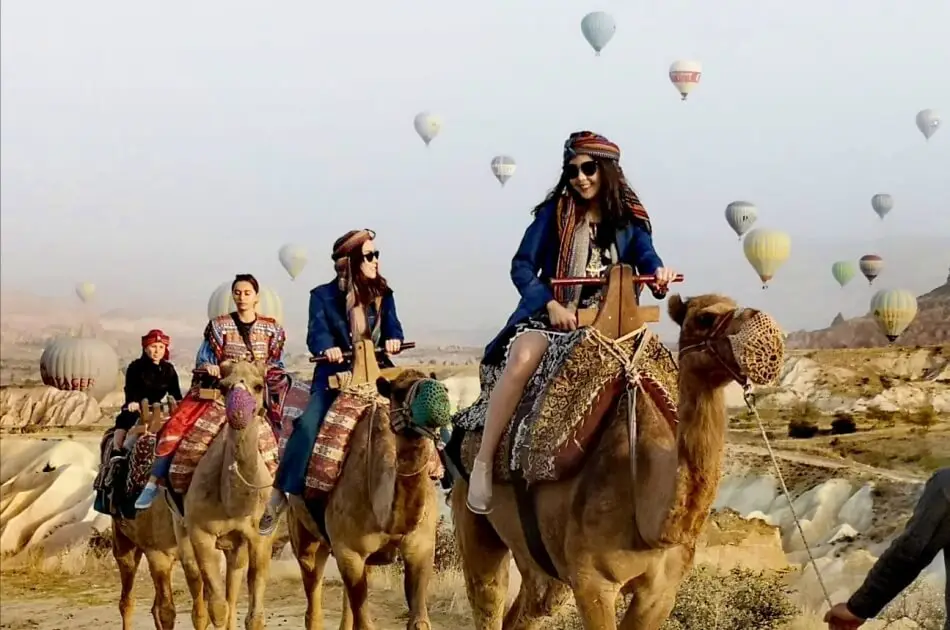 Camels at sunset in Cappadocia